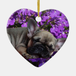 Französische Bulldogge Ornament