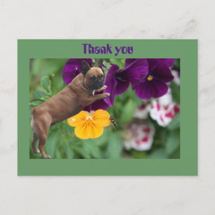 Französische Bulldogge Postkarte Postcard