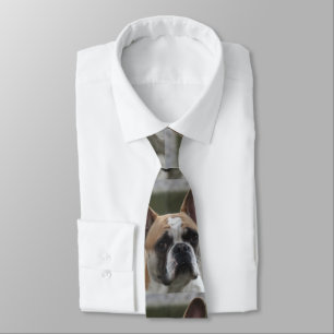 Französische Bulldogge Tie