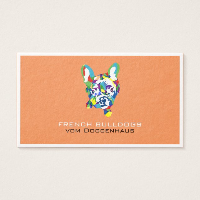 Französische Bulldogge Welpe (Front)