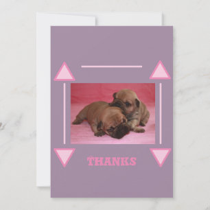 Französische Bulldogge Welpe Thank You Card