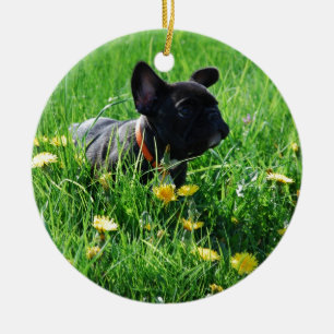 Französische Bulldoggen Anhänger Ceramic Tree Decoration