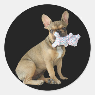 Französische Bulldoggen Aufkleber Classic Round Sticker