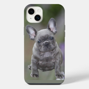 Französische Bulldoggen IPhone 14 Pad Hülle  Plus Case