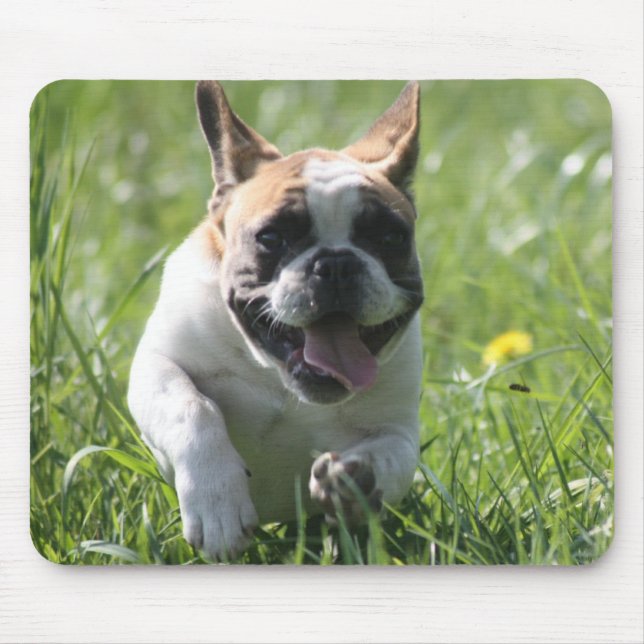 Französische Bulldoggen Mousepad (Front)