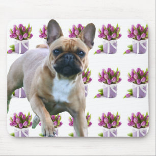 Französische Bulldoggen Mousepad