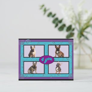 Französische Bulldoggen Postkarte "4 you" Postcard