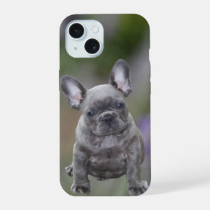 Französische Bulldoggen Postkarte iPhone 15 Case
