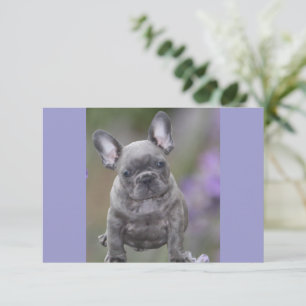 Französische Bulldoggen Postkarte Save The Date