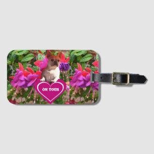 Französische Bulldoggen Postkarten Luggage Tag