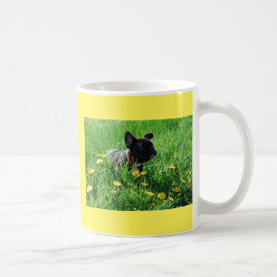 Französische Bulldoggen Tasse Coffee Mug