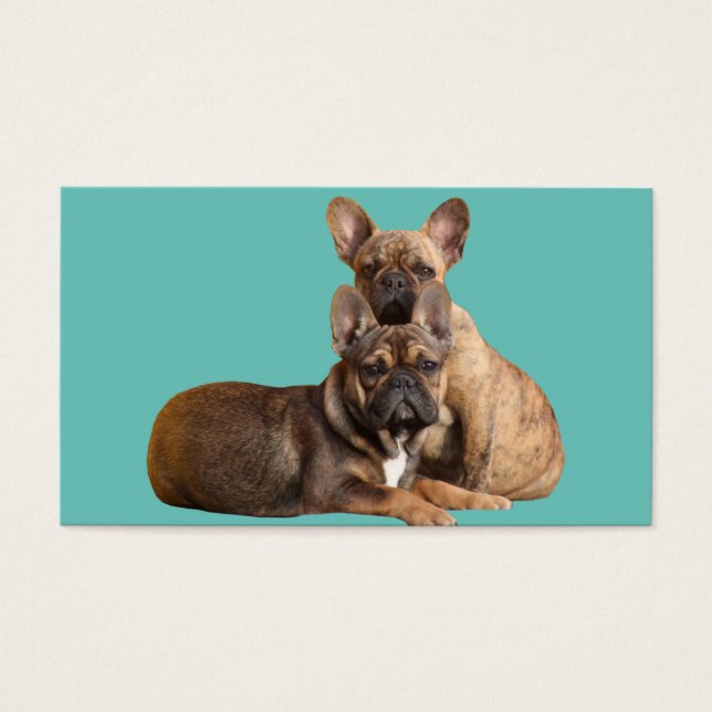 Französische Bulldoggen Visitenkarten (Front)