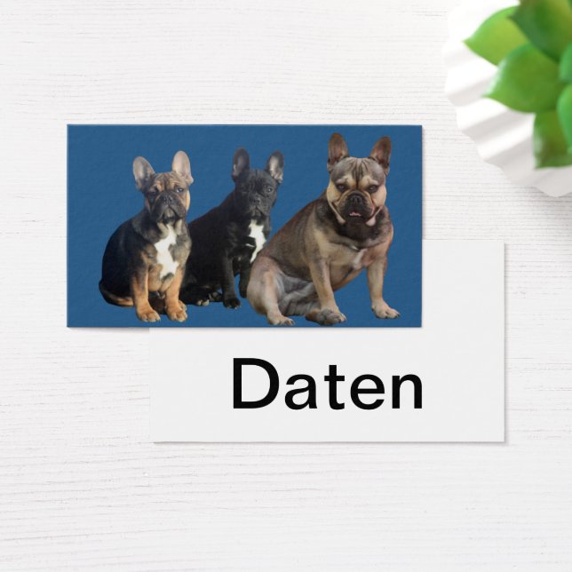 Französische Bulldoggen Visitenkarten (Desk)
