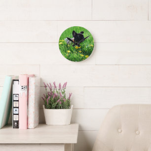 Französische Bulldoggen Wanduhr Round Clock