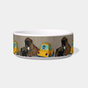 Französische Bulldoggen Wassernapf Bowl