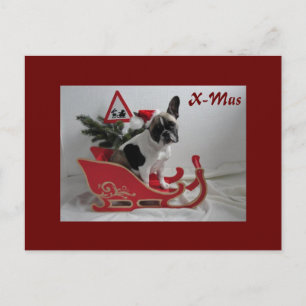 Französische Bulldoggen Weihnachten Grusskarte Postcard