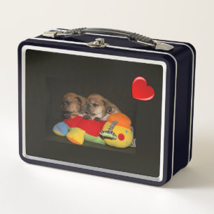 Französische Bulldoggen Welpen Brotdose  Metal Lunch Box