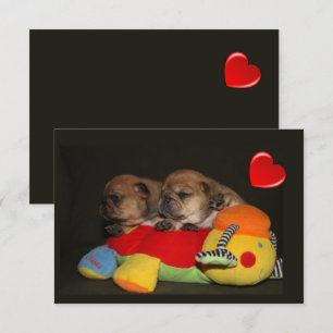 Französische Bulldoggen Welpen Brotdose  Save The Date