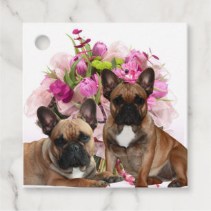 Französischen Bulldoggen Favour Tags