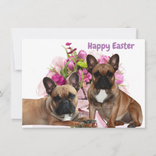 Französischen Bulldoggen  Holiday Card