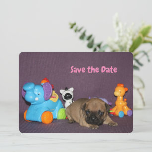 Französischen Bulldoggen  Invitation