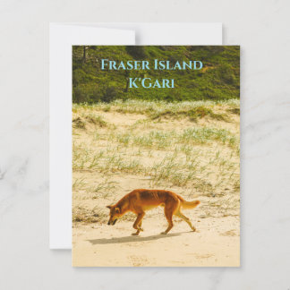 Fraser Island / K'Gari Postcard