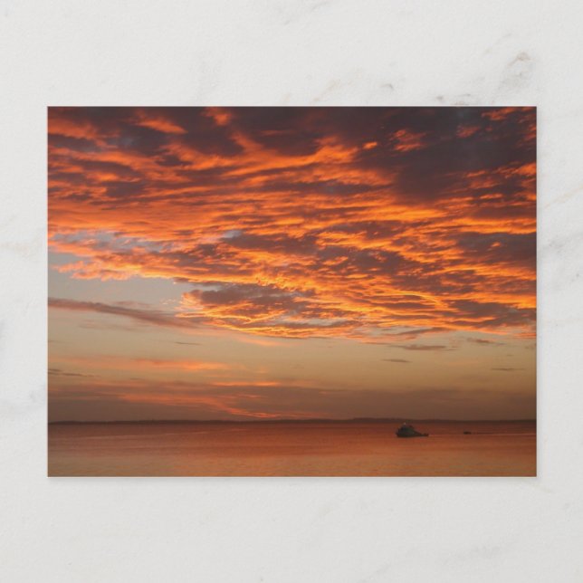 Fraser Island Sunset Postcard (Front)