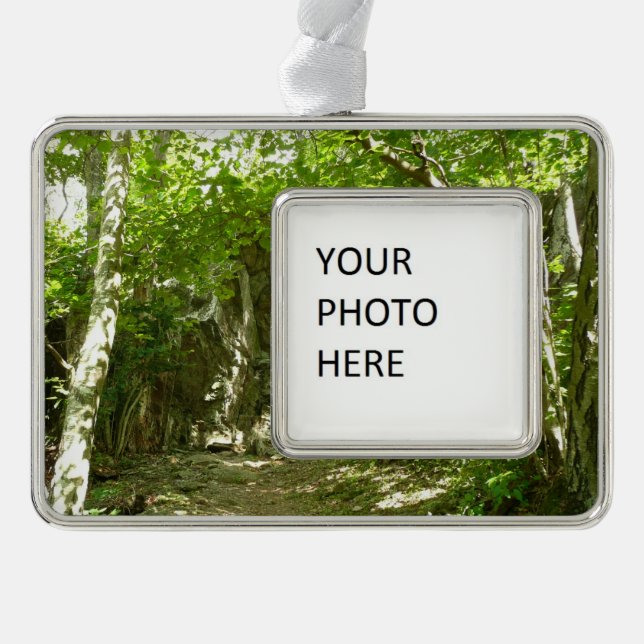 Frazier Discovery Trail at Shenandoah Photography Silver Plated Framed Ornament (Front)