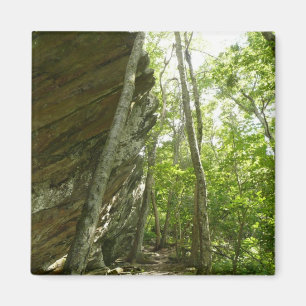 Frazier Rock Wall in Shenandoah National Park Magnet