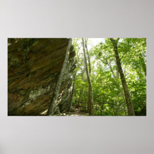 Frazier Rock Wall in Shenandoah National Park Poster