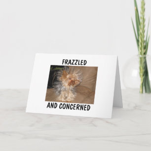 FRAZZLED AND CONCERNED CARD