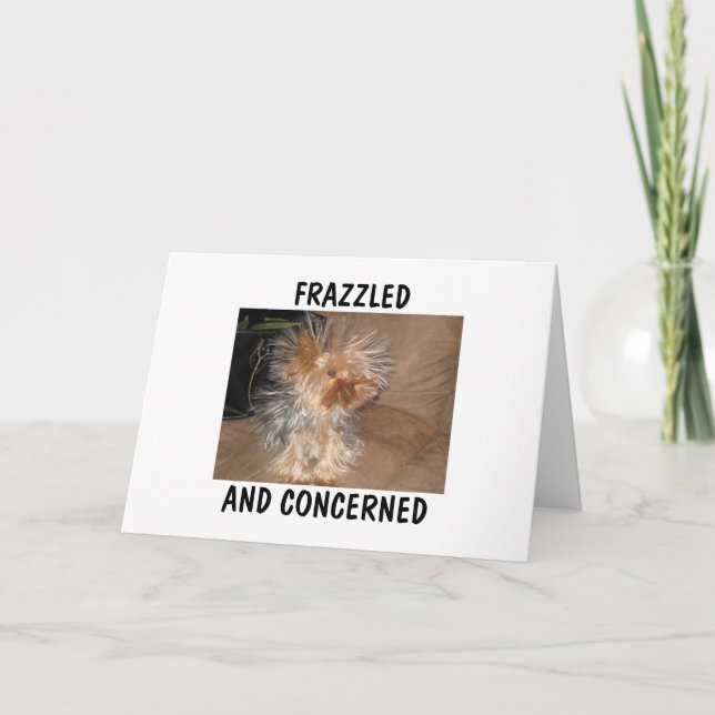 FRAZZLED AND CONCERNED CARD (Front)