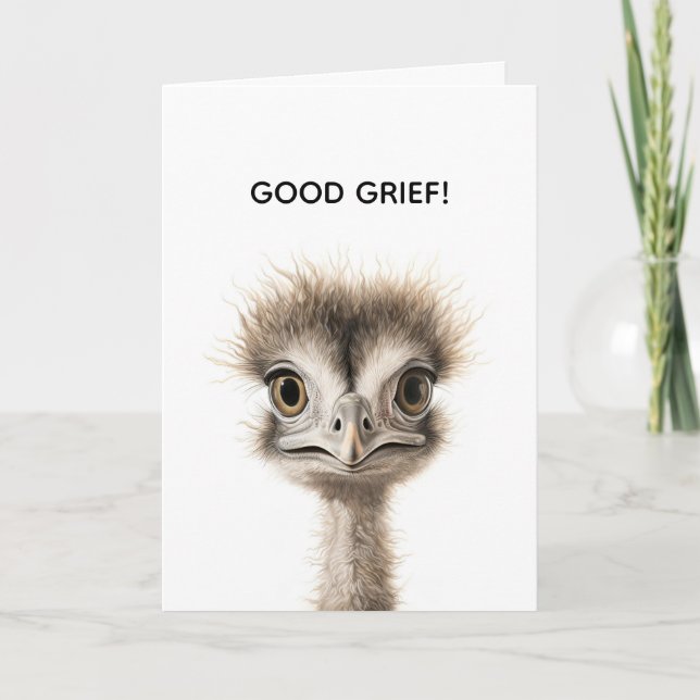 FRAZZLED BELATED BIRTHDAY CARD (Front)