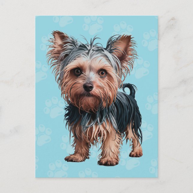 Frazzled Yorkie Dog Postcard Yorkshire Terrier (Front)