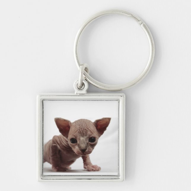 Freaky Cute Furless Sphynx Kitten Key Ring (Front)