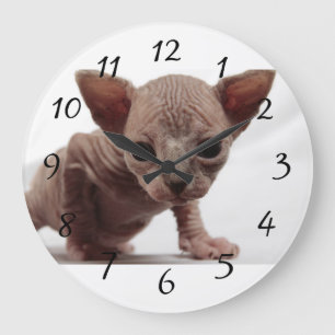 Freaky Cute Furless Sphynx Kitten Large Clock