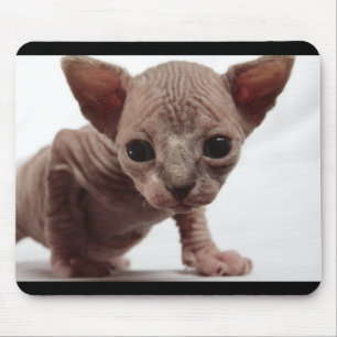 Freaky Cute Furless Sphynx Kitten Mouse Mat