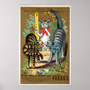 Frears Cat Trade Card #3 (of 6) Poster