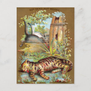 Frears Cat Trade Card #5 (of 6)