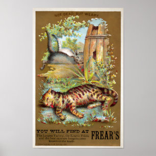 Frears Cat Trade Card #5 (of 6) Poster
