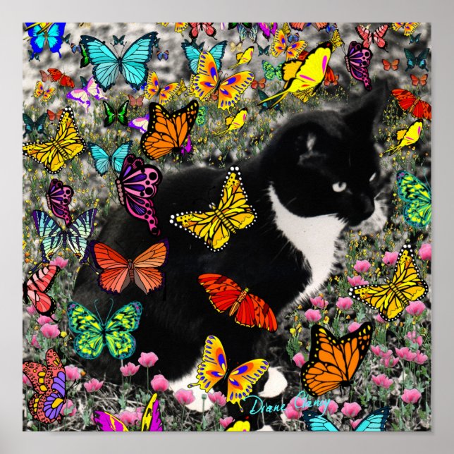 Freckles in Butterflies - Tuxedo Kitty Poster (Front)