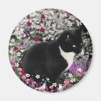 Freckles in Flowers II - Tux Kitty Cat