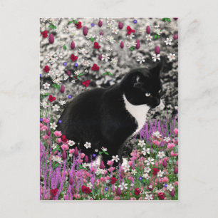 Freckles in Flowers II - Tuxedo Cat Postcard