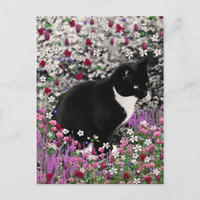 Freckles in Flowers II - Tuxedo Kitty Cat Postcard (Front)