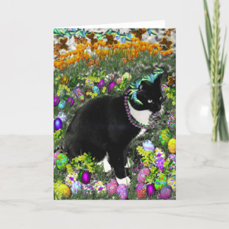 Freckles in the Hunt for Coloured Easter Eggs Holiday Card