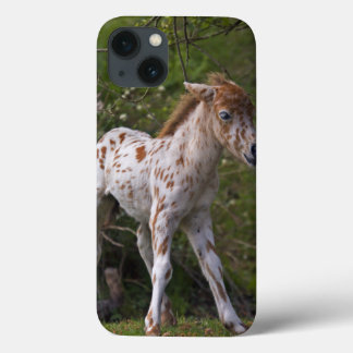 Freckles iPad Mini Case