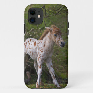 Freckles iPhone 5 Case