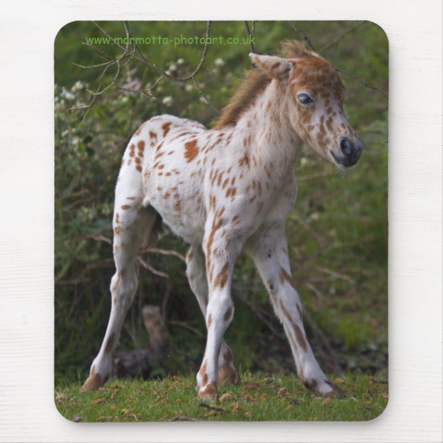 Freckles Mousemat (Front)