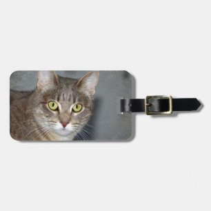 Fred Luggage Tag