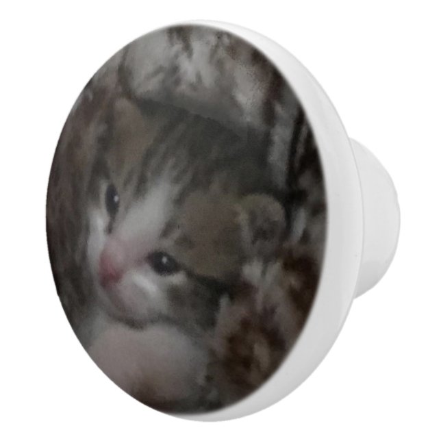 Freddie Ceramic Knob (Right)